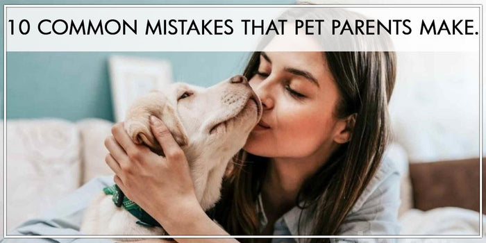 10 Common Mistakes that Pet Parents Make.