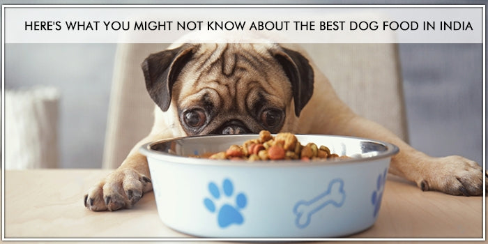 Here's What You Might Not Know About The Best Dog Food in India