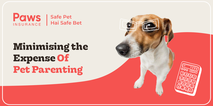 PawsIndia’s Guide to Minimizing the Expense of Dog Parenthood in India