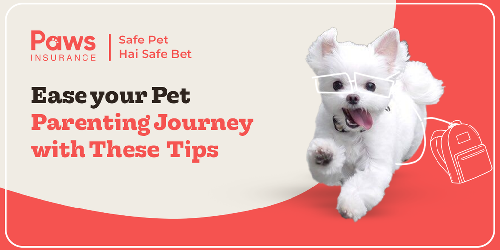 Easing your Pet Parenting Journey with These Helpful Tips