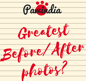 What are some of the greatest Before/After photos?