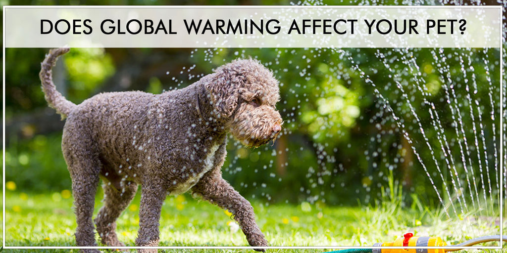 DOES GLOBAL WARMING AFFECT YOUR PET?
