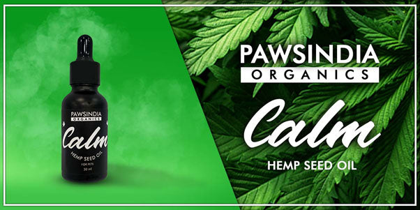 Calm Hemp Seed Oil for Pets.