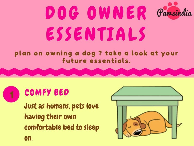 Dog Owner Essentials