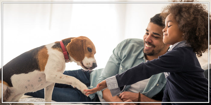 Planning To Have A Pet?