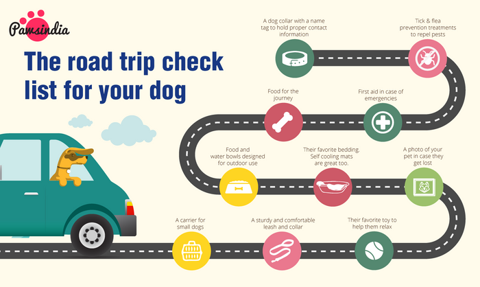 The road trip check list for your dog