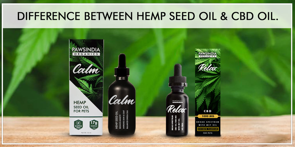 CBD vs Hemp Oil for Dogs : What's the Difference