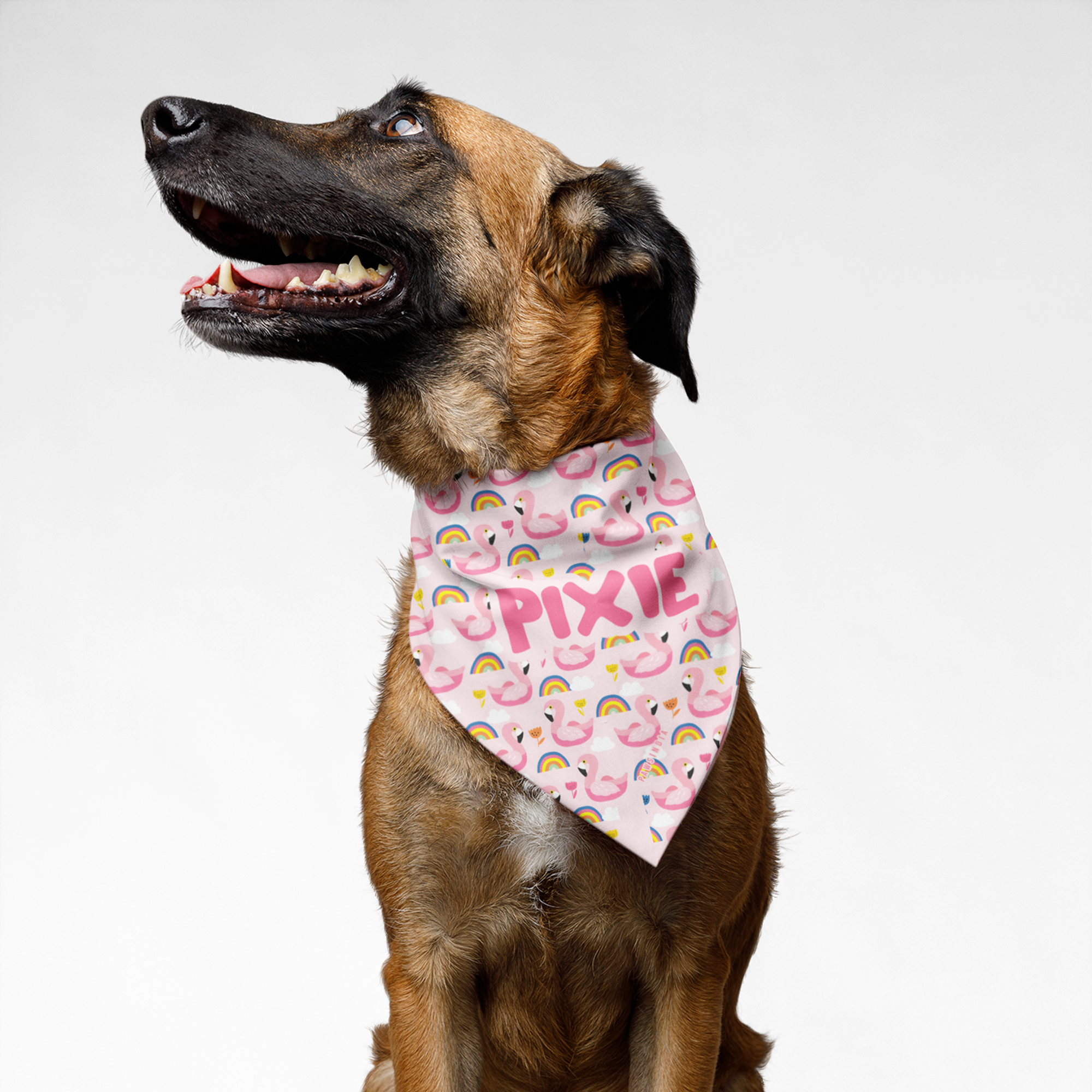PawsIndia Customized Pet Bandana - Rainbow with Flamingos Print