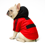 Pawsindia Dog Hooded Raincoat - Red & Black