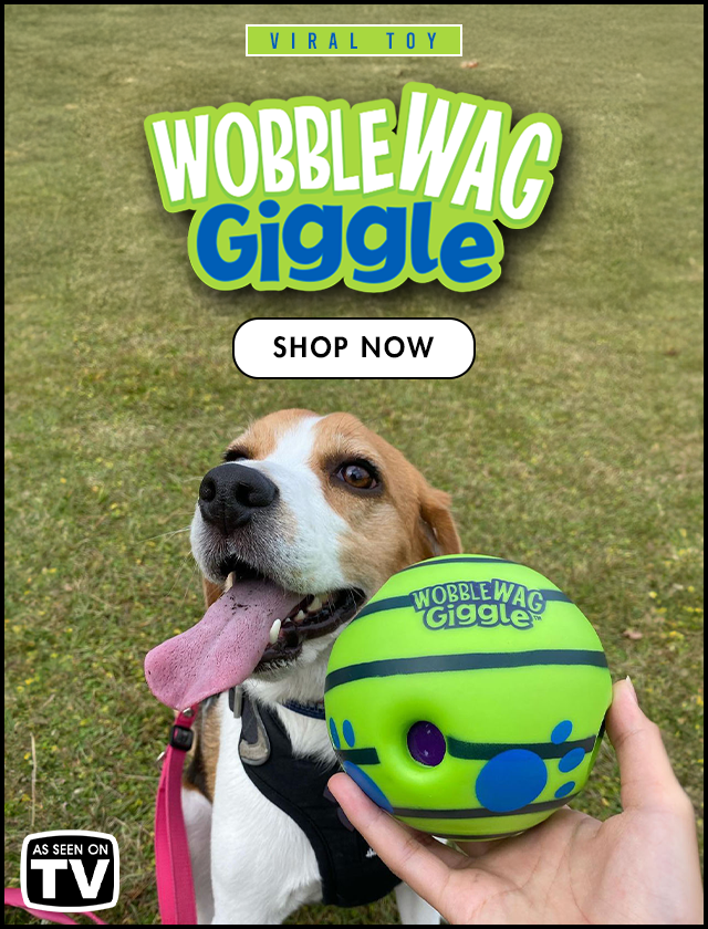 Pawsindia
