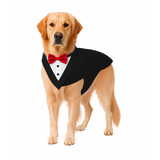 PawsIndia Black & White Tuxedo Suit  – Red Carpet Ready
