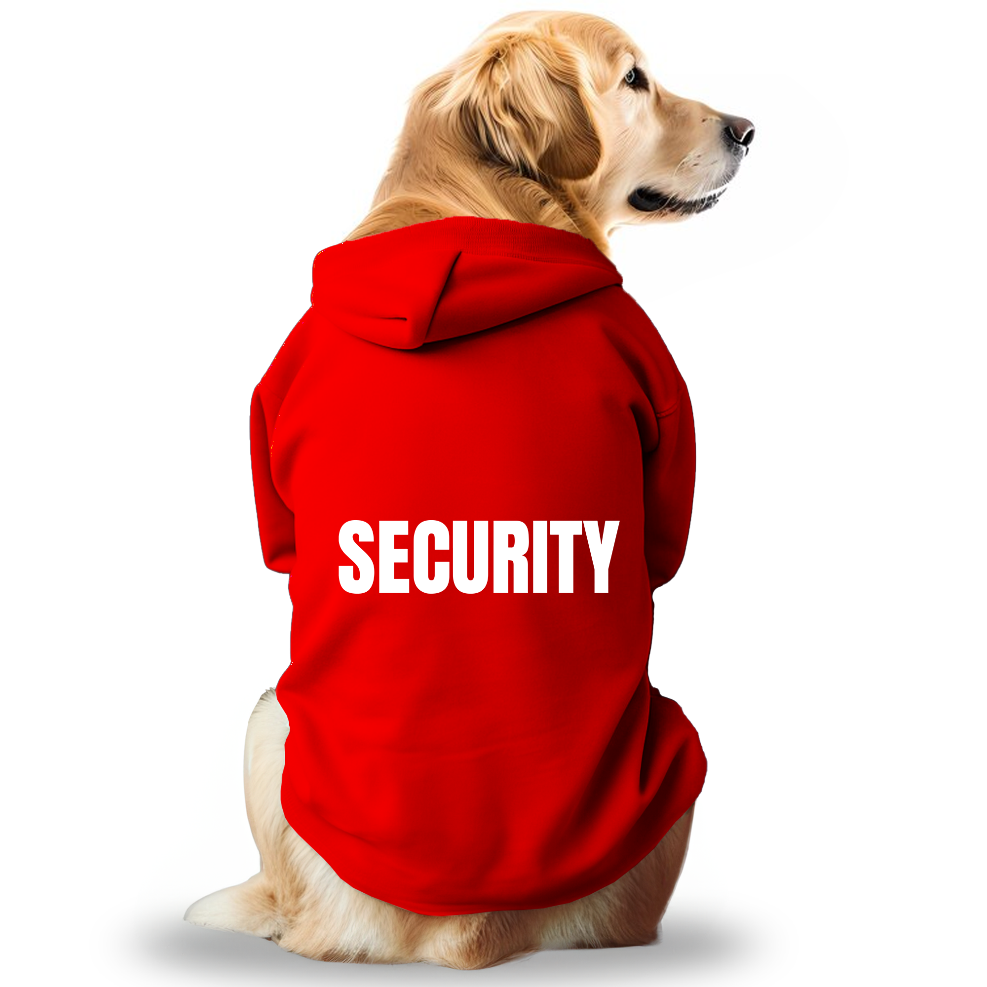 Pawsindia Dog Hoodie - Security