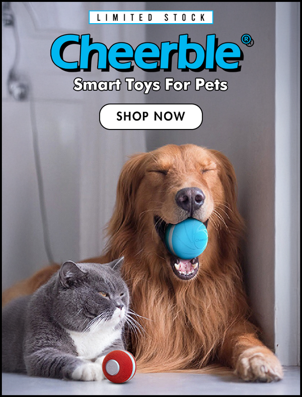 Pawsindia