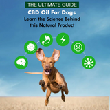 Organics - Relax Full Spectrum CBD oil for Pets 1000 mg (30ml)