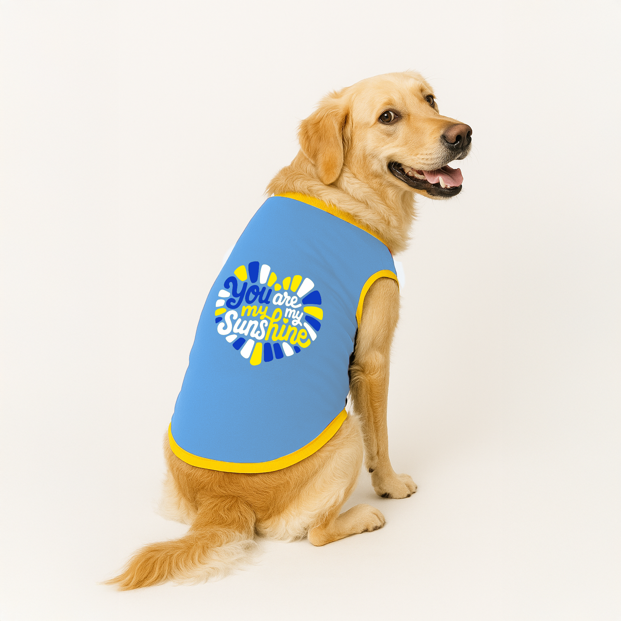 PawsIndia Ribbed Sleeves Printed Dog T-Shirt - You Are My Sunshine