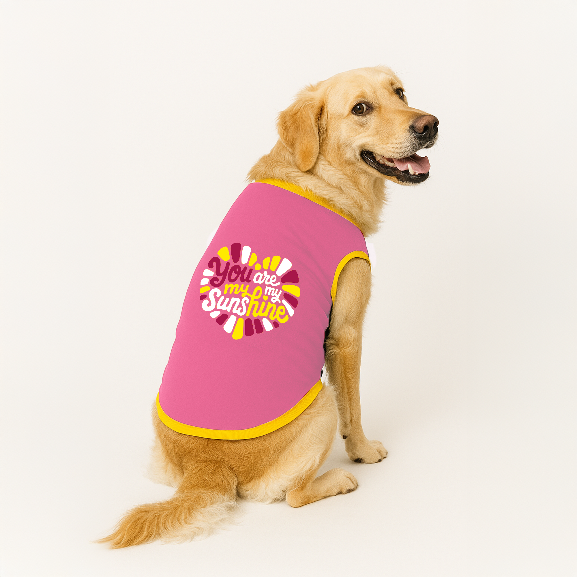PawsIndia Ribbed Sleeves Printed Dog T-Shirt - You Are My Sunshine