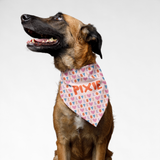 PawsIndia Customized Pet Bandana - Valentine's Edition Day Heart Print