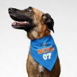 PawsIndia Pet Bandana - Indian Jersey