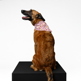 PawsIndia Customized Pet Bandana - Valentine's Edition Love In The Air