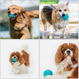 Pawsindia Original Giggle Ball Interactive Fun Dog Toy