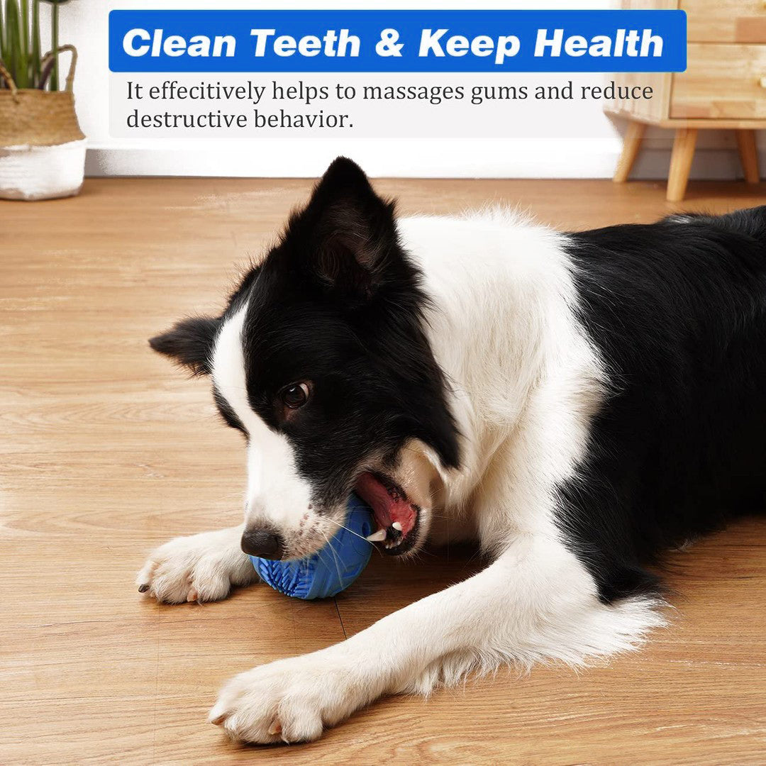 Brush Ball Teeth Cleaning Toy