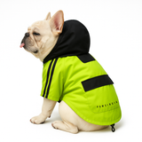 Pawsindia Dog Hooded Raincoat - Neon Green & Black