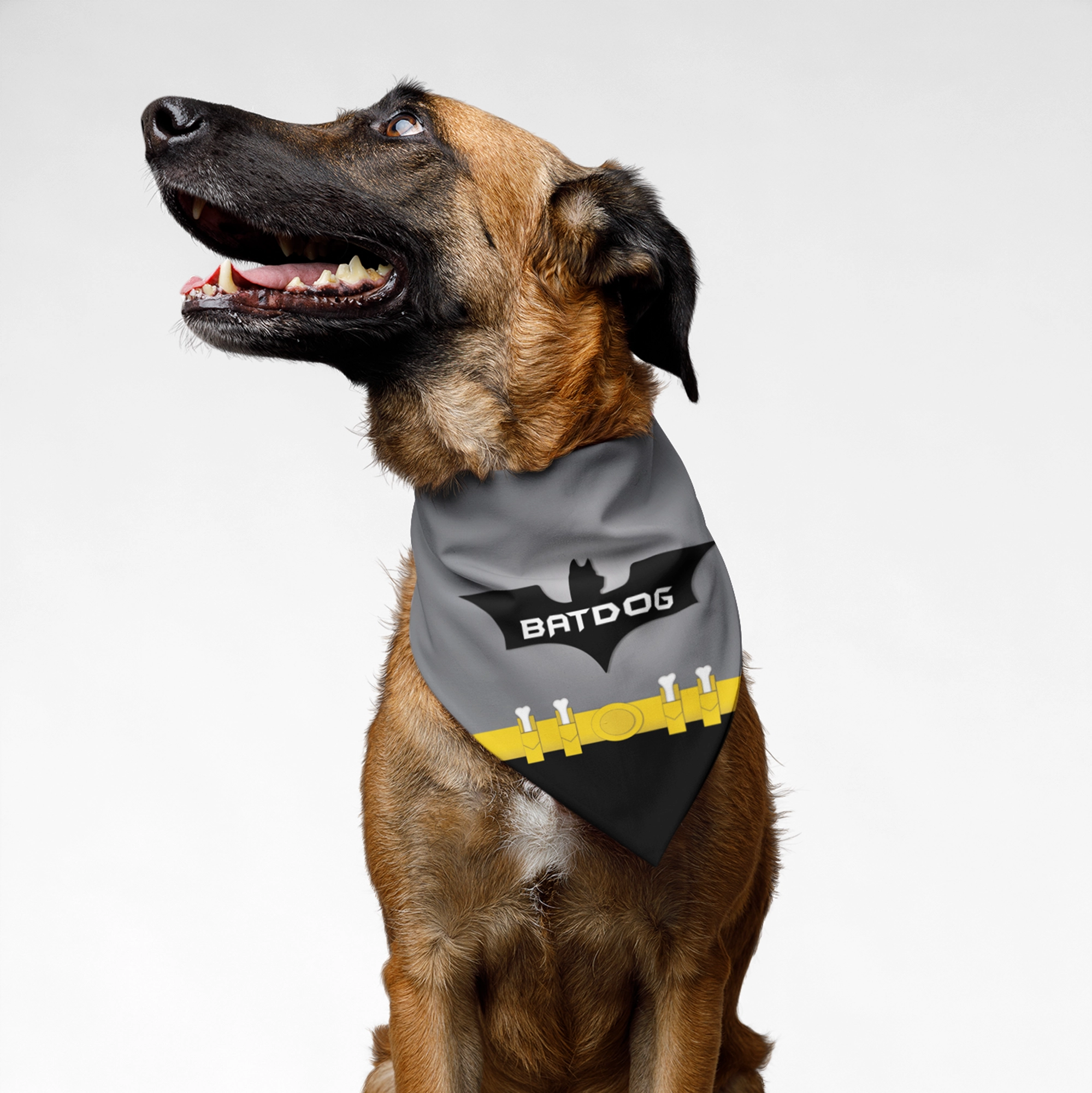 PawsIndia Dog Bandana - Bat Dog - Grey