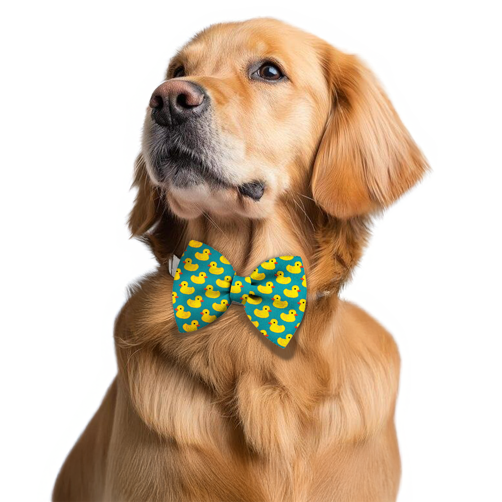 Pawsindia Duck Pattern Bow Tie