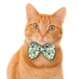 Pawsindia Daisy Delight Pattern Bow Tie