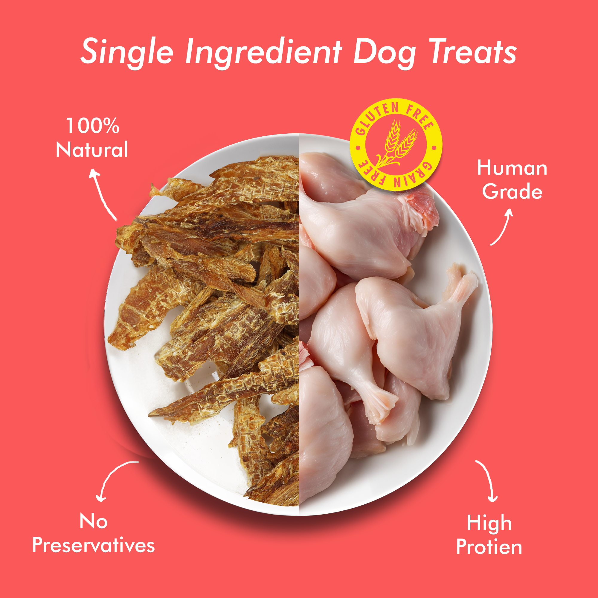 Raw Bites Organic Dehydrated - Chicken Jerky Premium Dog Treats