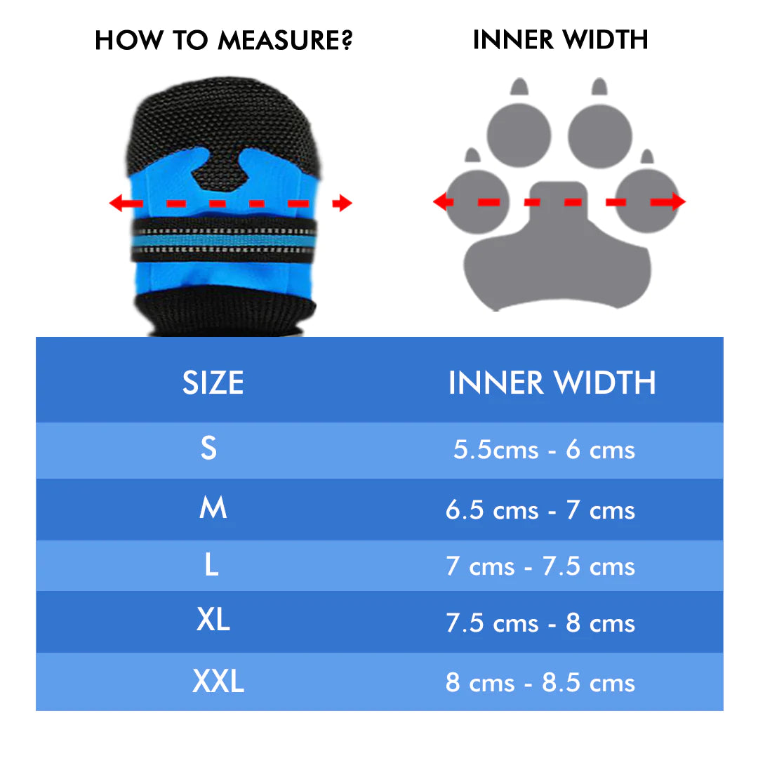 Dog Shoes- Blue