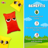 Pawsindia Catnip Cat Toy - Emotion Fusion - Pack of 5