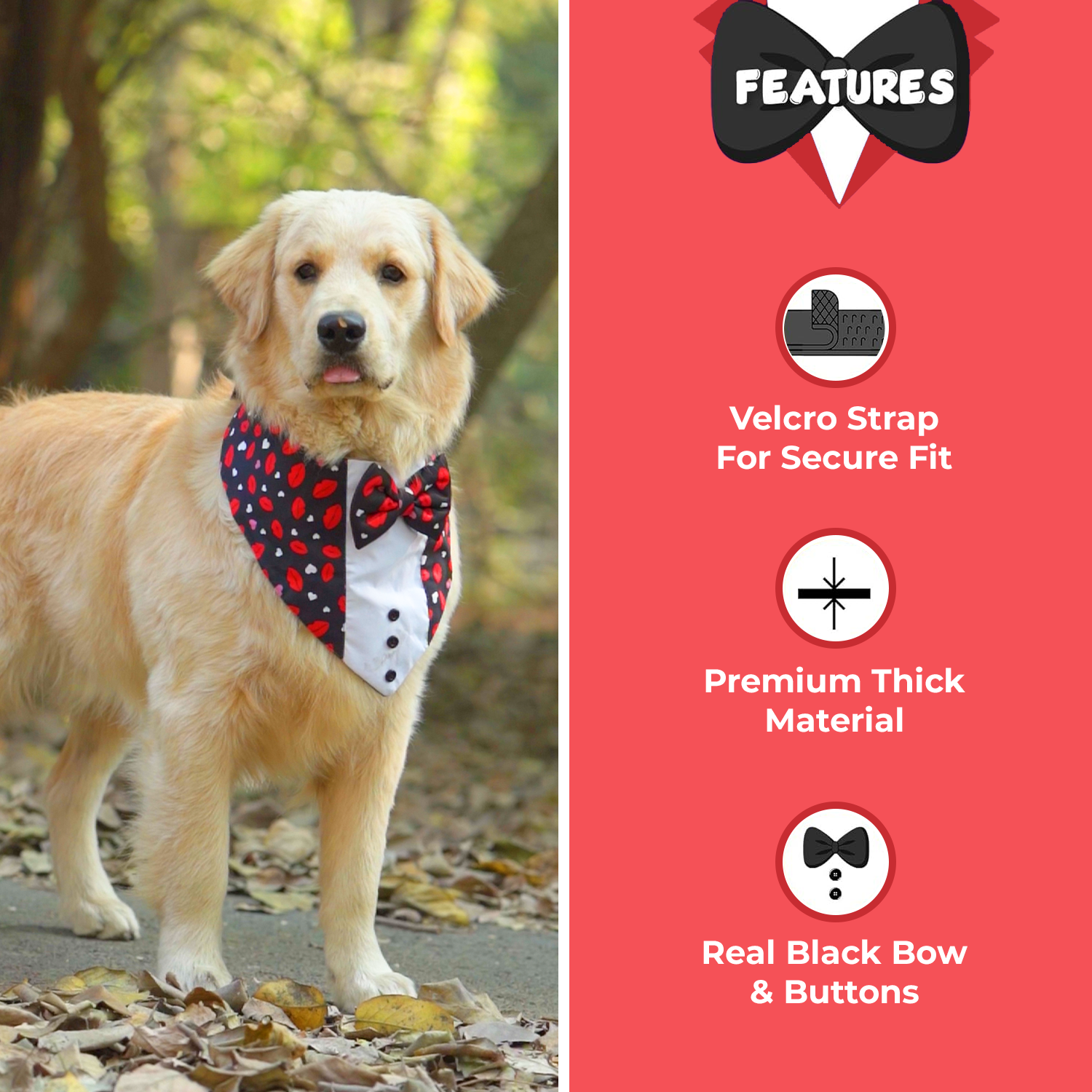 PawsIndia Rainbow Vibes Pattern Tuxedo Bandana With Matching Bow For Pets