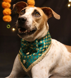 PawsIndia Traditional Royal Brocade Tuxedo For Pets - Aqua Green| Ethnic Festive Wear