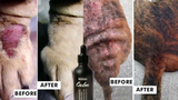Calm Hemp Seed oil 50ml - PRE ORDER