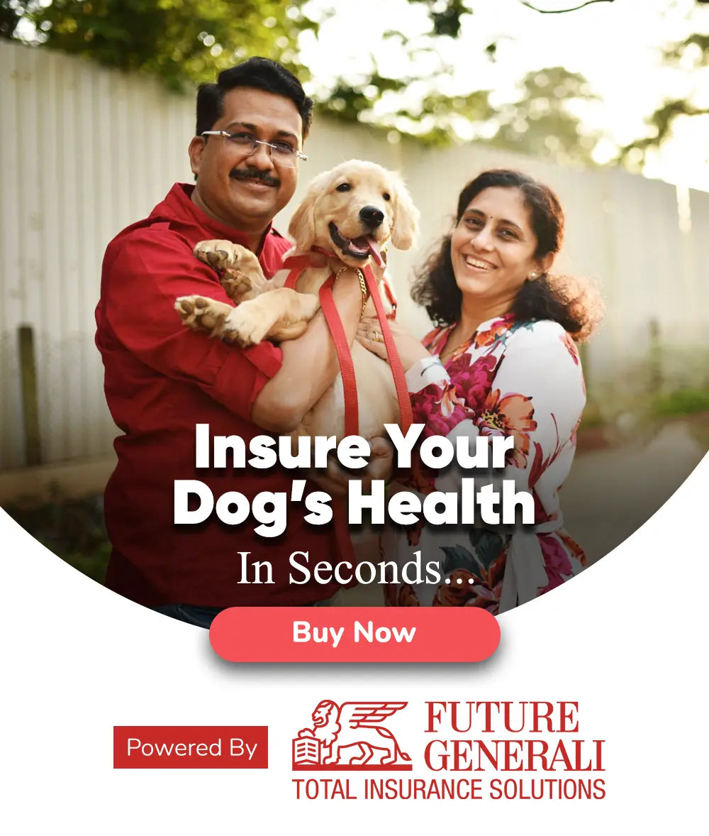 Pawsindia