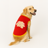 PawsIndia Ribbed Sleeves Printed Dog T-Shirt - Main Character Energy