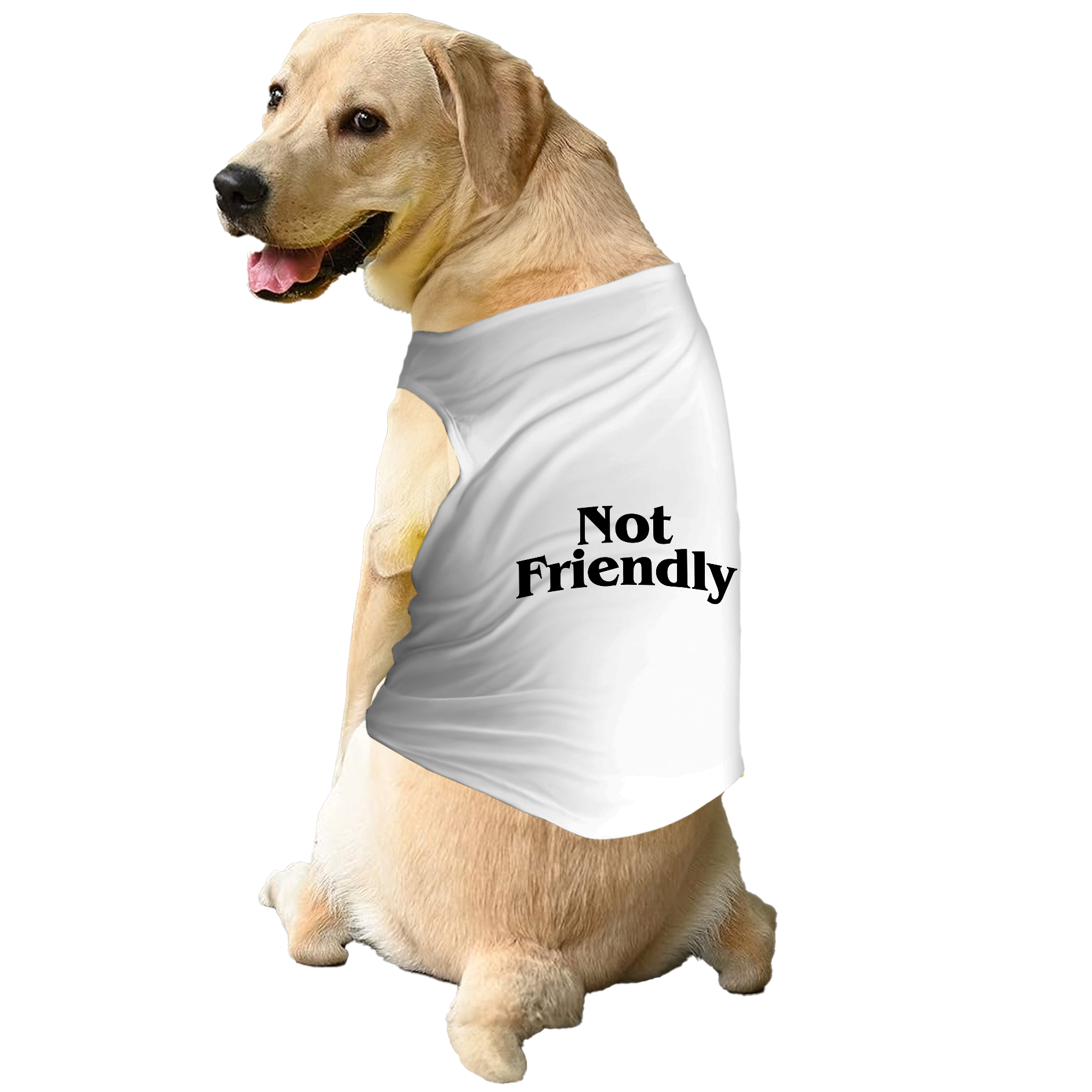 PawsIndia Sleeveless Printed Dog T-Shirt - Not Friendly