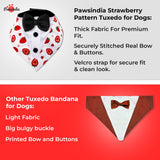 PawsIndia Strawberry  Pattern Tuxedo Bandana With Black Bow For Pets