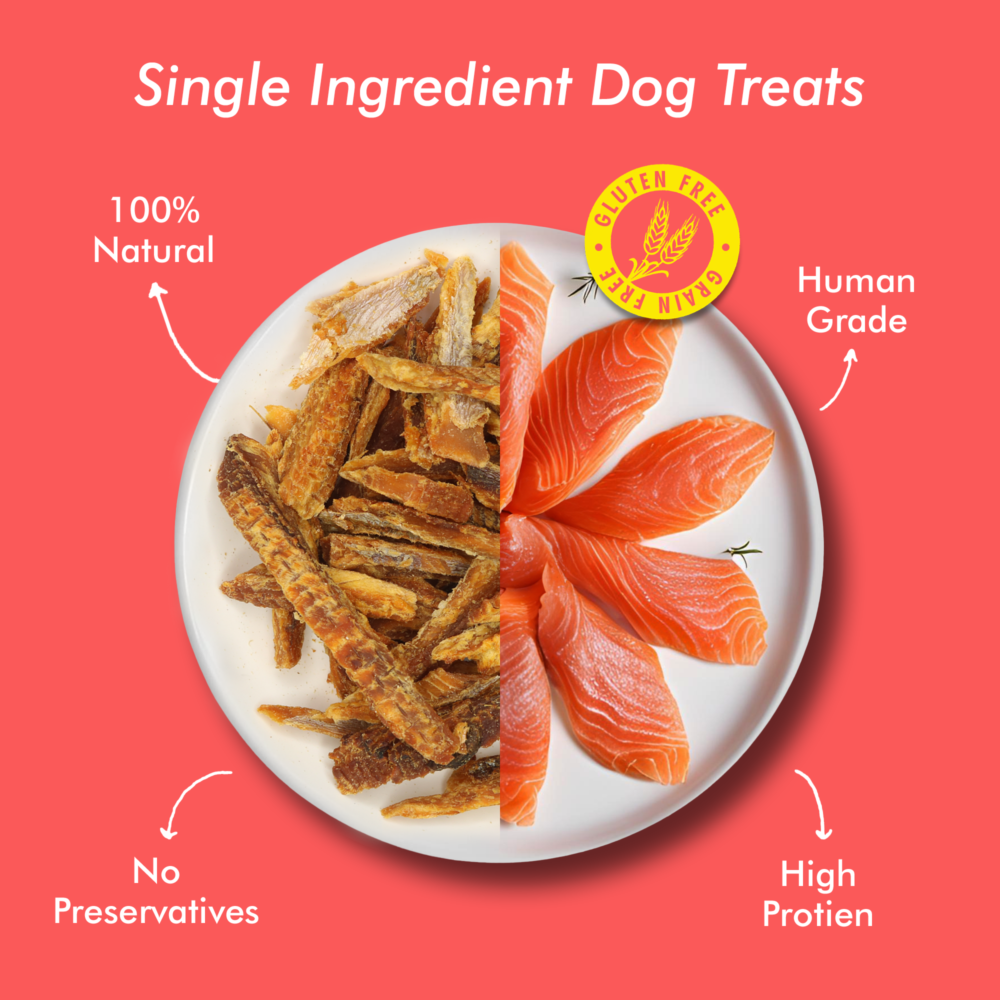 Raw Bites Organic Dehydrated - Salmon Jerky Premium Dog Treats