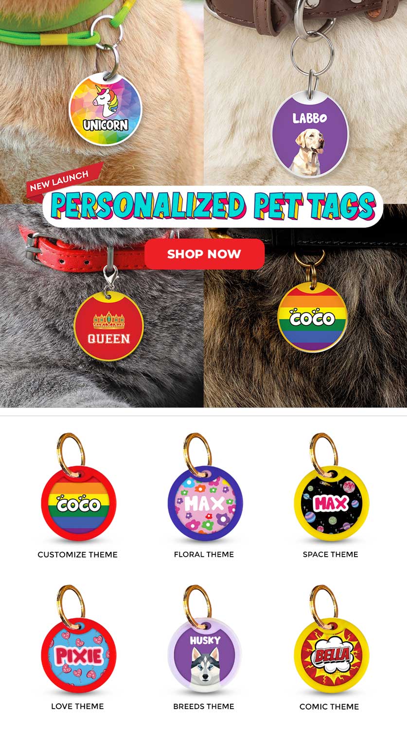 Pawsindia