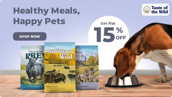 Pet hot sale product online