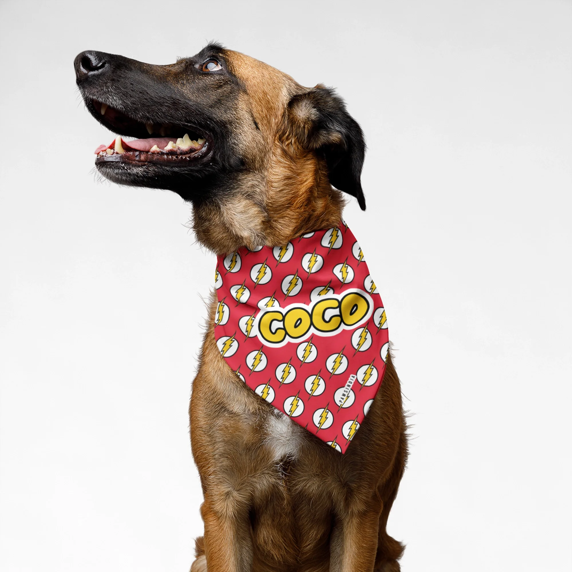 PawsIndia Customized Pet Bandana - Lightning Bolt