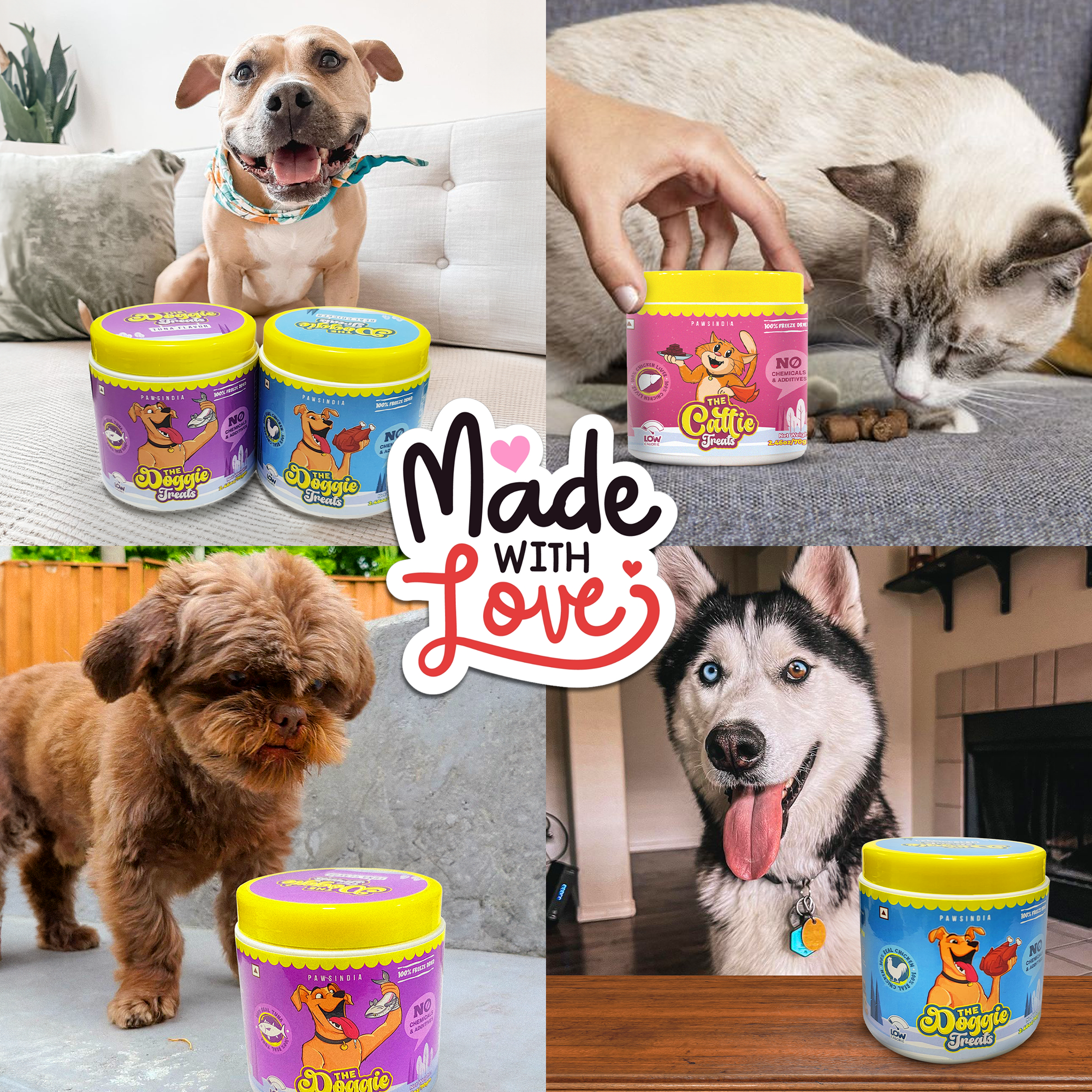 Pawsindia Freeze Dried Doggie Treats - Tuna Flavor