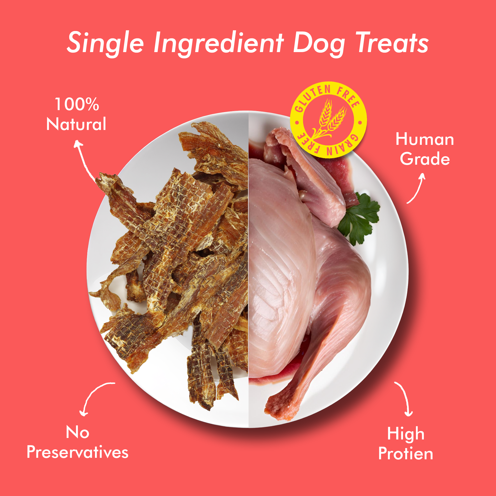 Raw Bites Organic Dehydrated - Turkey Jerky  Premium Dog Treats