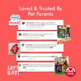 Raw Bites Organic Dehydrated - Turkey Jerky  Premium Dog Treats
