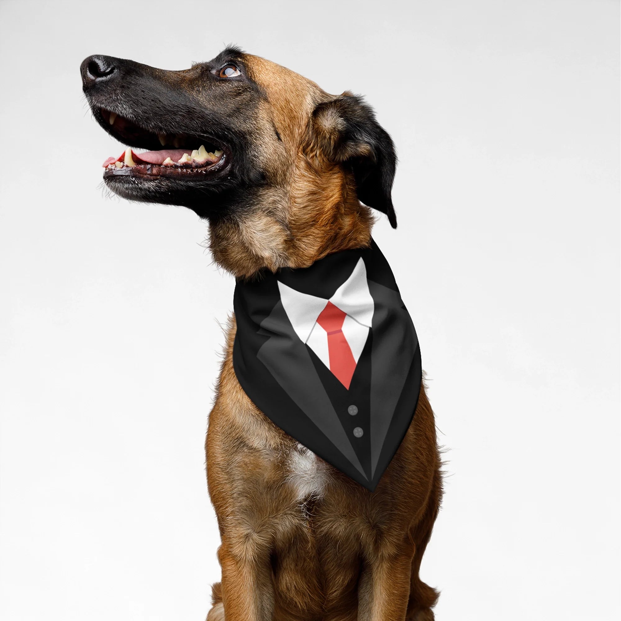 PawsIndia Pet Bandana - Collar & Tie Print - Black