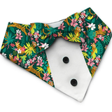 PawsIndia Jungle Pattern Tuxedo Bandana With Matching Bow For Pets