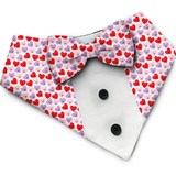 PawsIndia Happy Hearts Pattern Tuxedo Bandana with Matching Bow For Pets