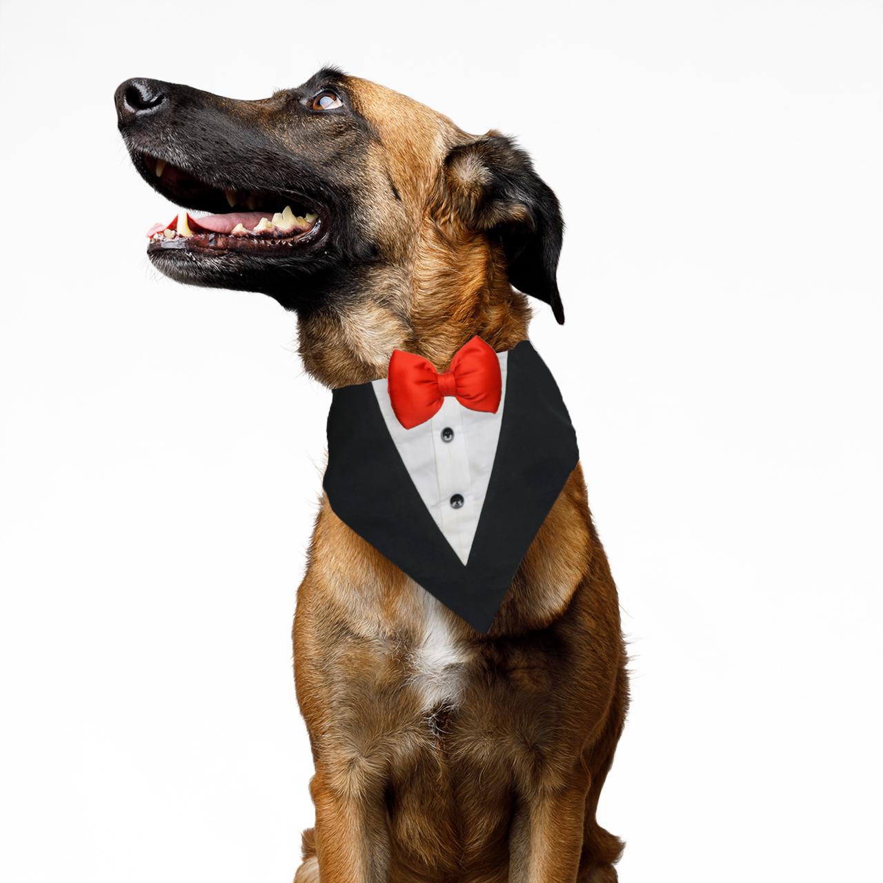 PawsIndia Black & White Tuxedo Bandana With Red Bow For Pets